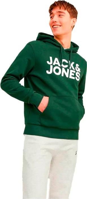 Jack & Jones Logo Hoodie mountain view (Herren)