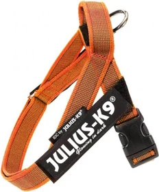 Julius K9 IDC Color & Gray Beltgeschirr XS, orange