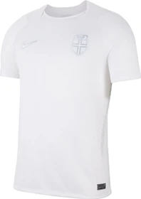 Nike FIFA WM 2026 Norwegen Ausweichtrikot kurzarm white/pure platinum (Herren)