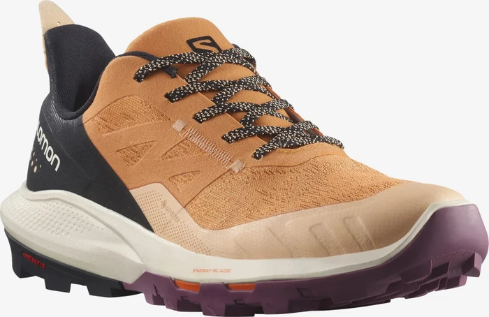 Salomon OUTpulse GTX (Damen)