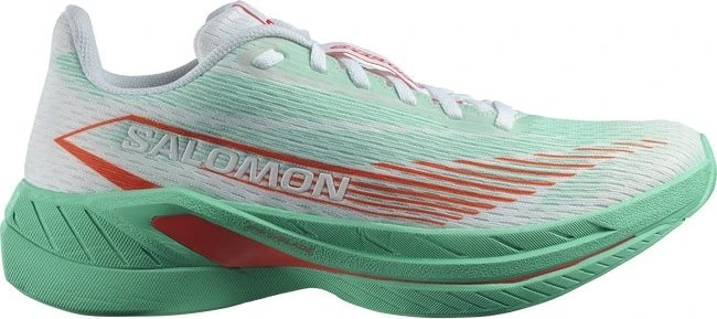 Salomon Spectur 2 (Herren)