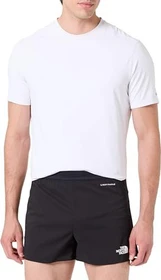 The North Face Summer LT 4" Shorts Hose kurz tnf black (Herren)