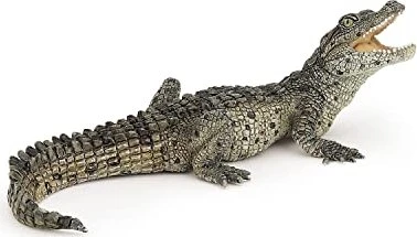 Papo Wildtiere der Welt - Krokodiljunges