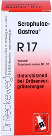 Dr.Reckeweg Scrophulae-Gastreu R17 Tropfen, 50ml