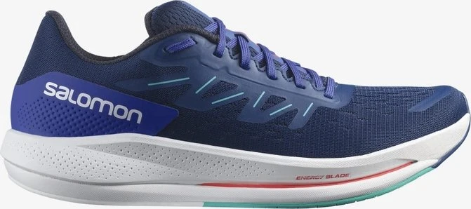 Salomon Spectur (Herren)
