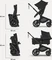 Bugaboo Fox 5 Renew 2in1 Gestell Schwarz heritage black Vorschaubild