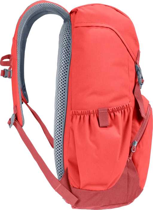 Deuter Walker 20 currant/redwood
