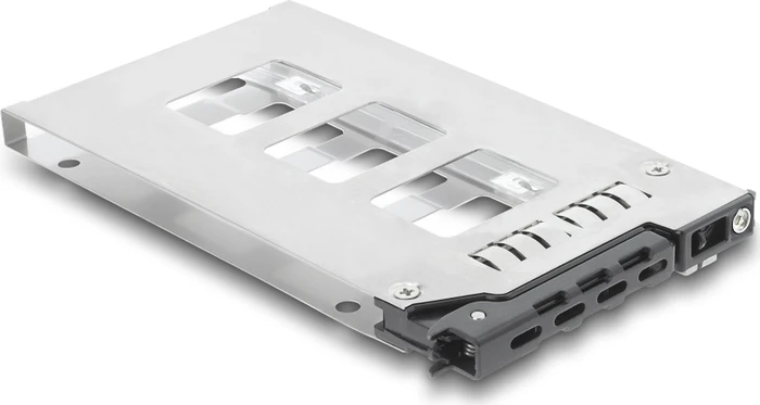 DeLOCK 2.5" Einschub/Carrier für Wechselrahmen 47172