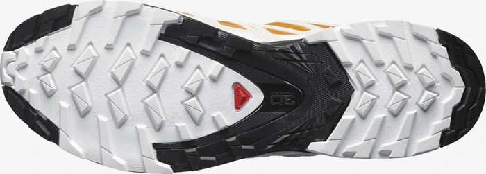 Salomon XA Pro 3D V8 GTX marmalade/rainy day/white (Herren)