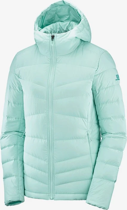 Salomon Transition Down Hoodie Jacke (Damen)