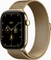 Apple Watch Series 12 (GPS + Cellular) 46mm Titan brillantgold mit Milanaise-Armband M/L brillantgold Vorschaubild