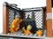 LEGO City - Polizeistation auf der Gefängnisinsel Vorschaubild