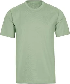 trigema Deluxe Baumwolle T-Shirt kurzarm green tea (Damen)