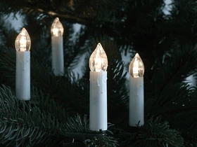FHS International Star-Max Lichterkette LED 30x warmweiß