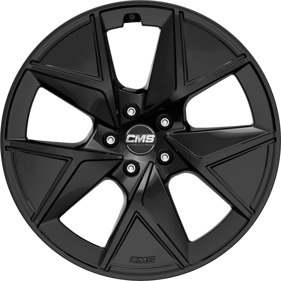 CMS C42