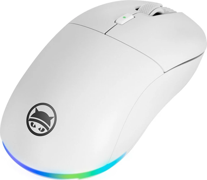 Gamiac PX71 Wireless RGB Gaming Maus schwarz, USB