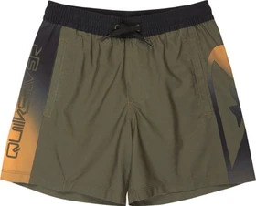 Quiksilver Everyday Holmes Volley 16" Badeshorts grape leaf (Junior)
