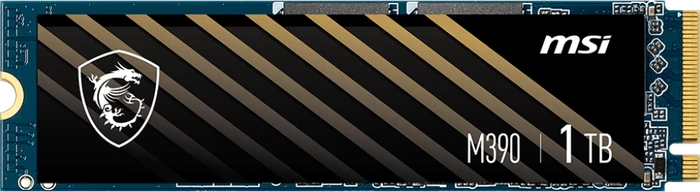 MSI M390 / Spatium M390, M.2