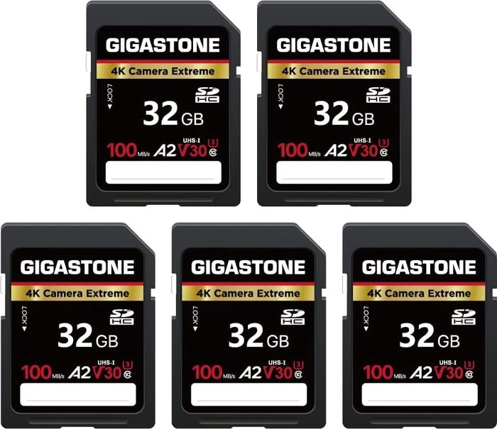 Gigastone 4k Camera Extreme R100/W50 32GB, UHS-I U3, A2, Class 10, 5er-Pack