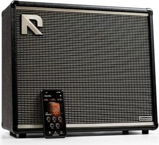 Positive Grid Reactor 100