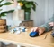 Trust Yvi+ Silent Wireless Mouse blau, ECO zertifiziert, USB Vorschaubild