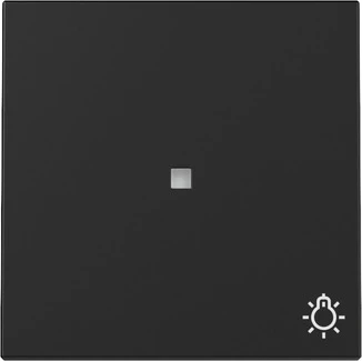 Gira Wippe mit Kontrollfenster und Symbol Licht, schwarz matt