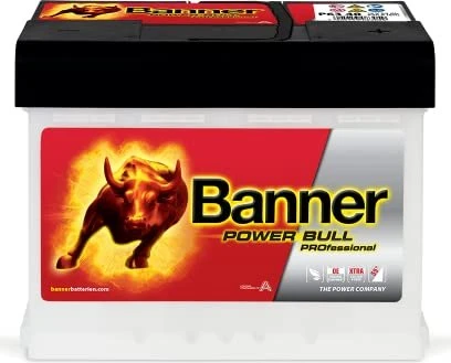 Banner Power Bull PROfessional P6340