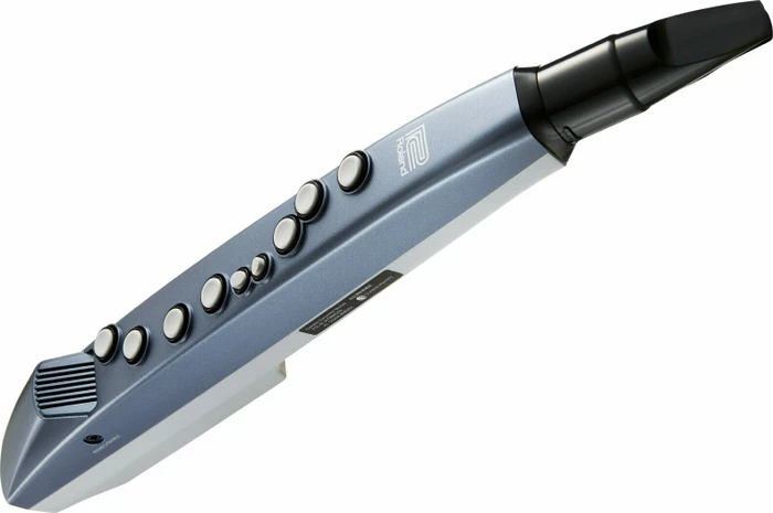 Roland Aerophone mini