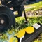 LogiLink Outdoor Steckdosenleiste, 6-fach, 1.5m, schwarz/gelb Vorschaubild