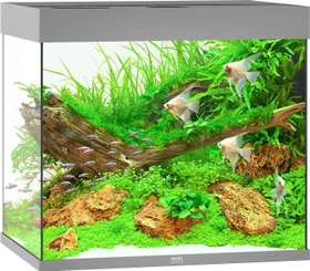 Juwel Lido 200 LED Aquarium-Set, grau, 200l