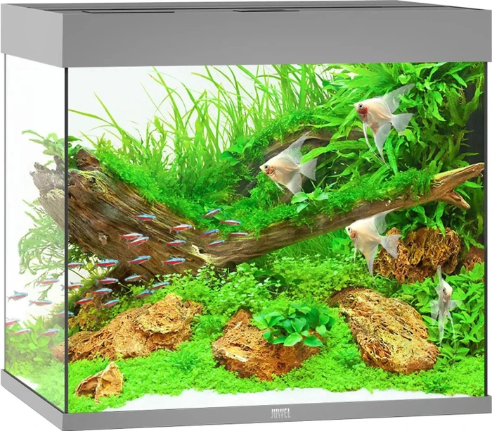 Juwel Lido 200 LED Aquarium-Set, grau, 200l