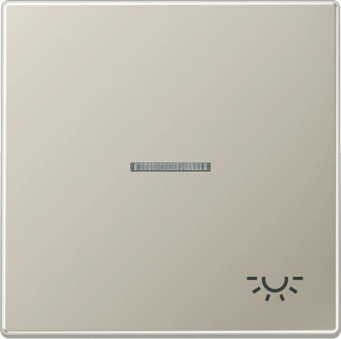 Jung Serie LS Wippe mit Lichtleiter Symbol Licht 1fach, Edelstahl