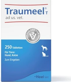 Heel Traumeel T Biologisches Heilmittel homöopathische Tabletten, 250 Stück