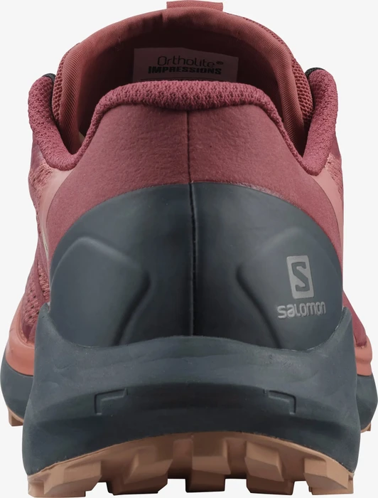 Salomon Sense Ride 4 brick dust/india ink/sirocco (Damen)