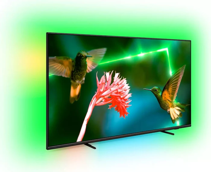 Philips 55PML9507