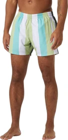 Helly Hansen Newport Trunk Badeshorts iced matcha (Herren)