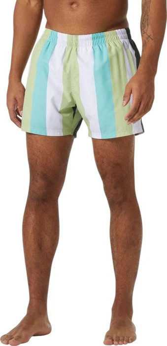Helly Hansen Newport Trunk Badeshorts iced matcha (Herren)