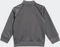 adidas Adicolor SST Trainingsanzug grey five (Junior) Vorschaubild