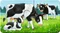 Ravensburger Puzzle Tierfamilien auf dem Bauernhof Vorschaubild