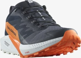 Salomon Sense Ride 5 GTX india ink/carbon/dragon fire (Herren)