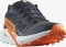 Salomon Sense Ride 5 GTX india ink/carbon/dragon fire (Herren) Vorschaubild