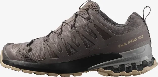 Salomon XA Pro 3D V9 GTX plum kitten/black/gull (Damen)