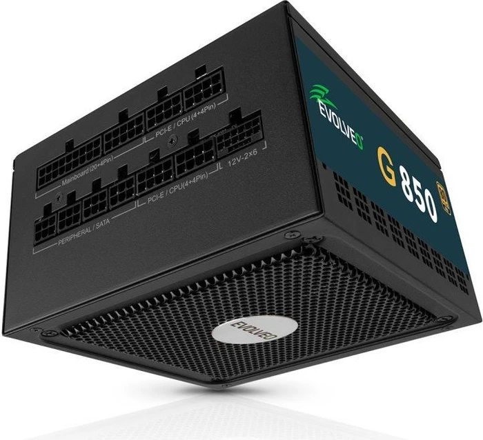 Evolveo Gold Series G850 schwarz 850W, ATX 3.1
