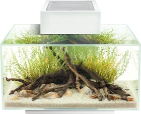 Fluval Edge 2.0 Aquarium-Set, weiß, 23l