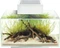 Fluval Edge 2.0 Aquarium-Set, weiß, 23l Vorschaubild