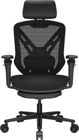 Cougar Speeder Neo CGR-SDN-GRB Gamingstuhl, schwarz