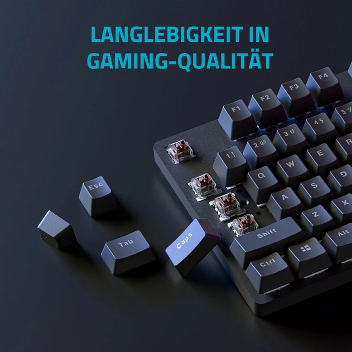 Rapoo V500PRO 2.4 Wireless, schwarz, BROWN Switches, USB, DE