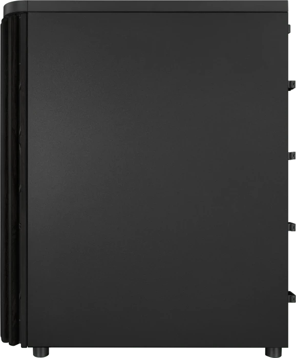 ASUS ProArt PA401 Wood Edition, schwarz, Mesh Panel