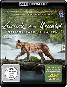 Zurück zum Urwald - Der Nationalpark Kalkalpen (4K Ultra HD)
