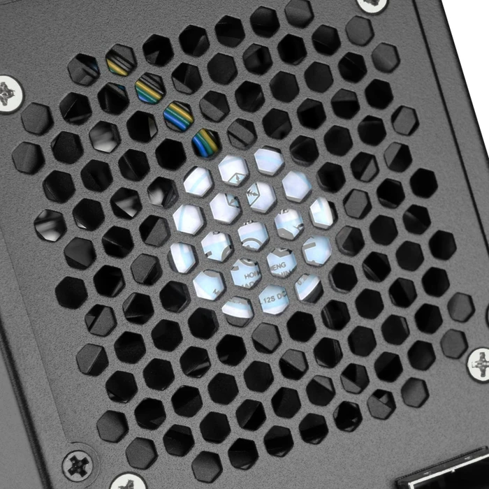 SilverStone TowerStor TS421S